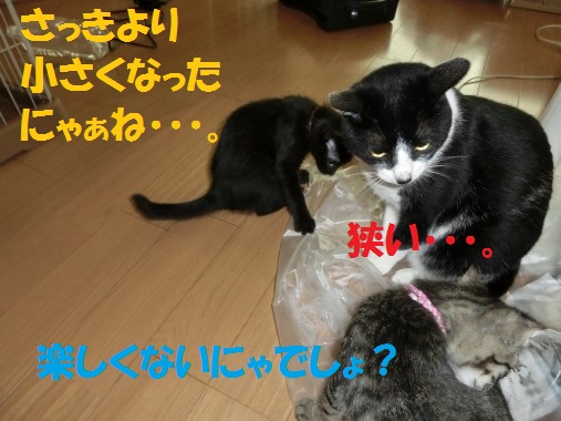 20130802-8.jpg