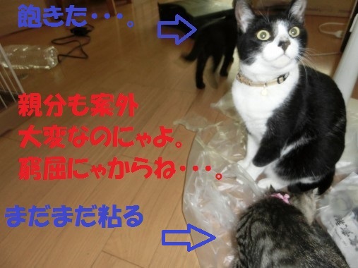 20130802-9.jpg