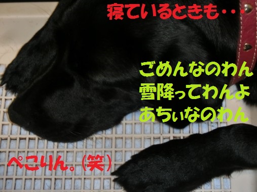 20130807-3.jpg