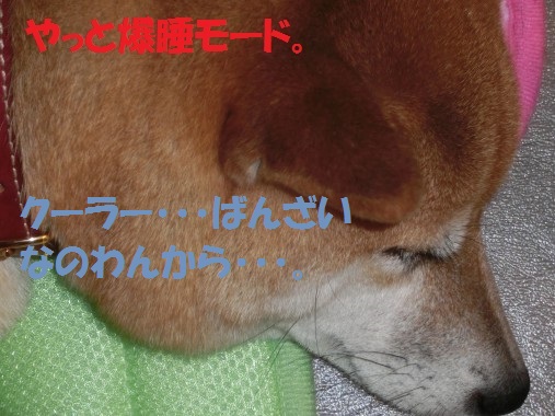 20130807-6.jpg