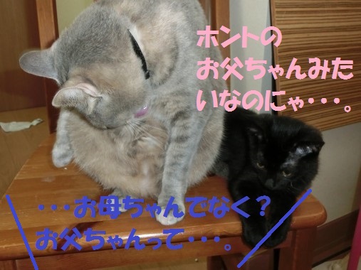20130810-0003.jpg