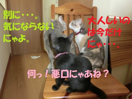 20130810-0007.jpg