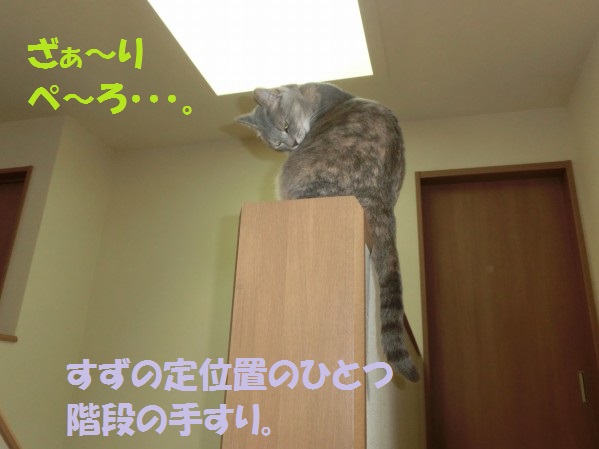20130812-2.jpg