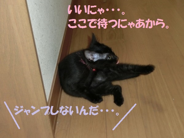 20130812-4.jpg