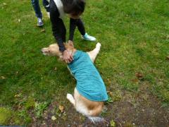 014_20111012145746.jpg