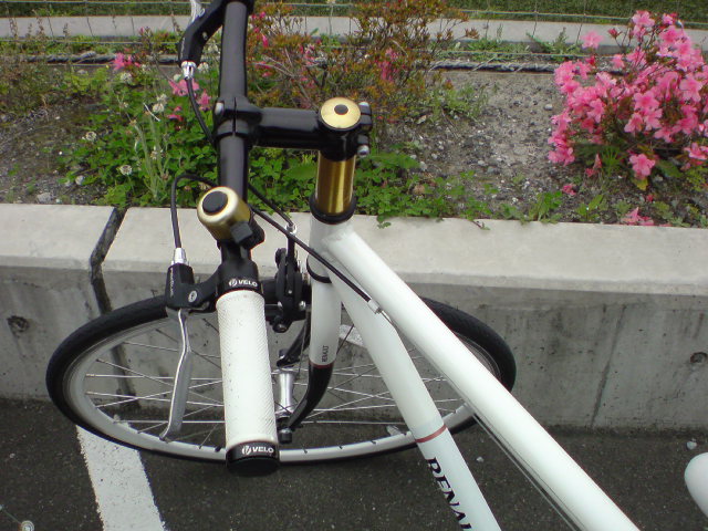 DSC00540.jpg