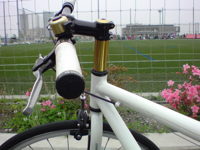 DSC00541.jpg