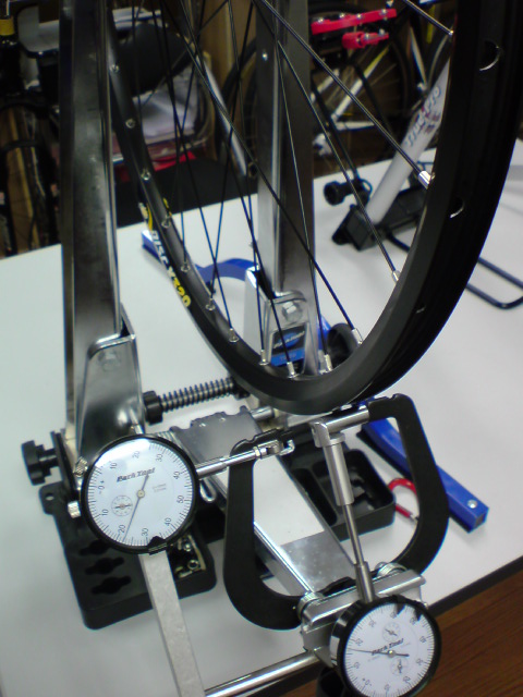 DSC00773.jpg