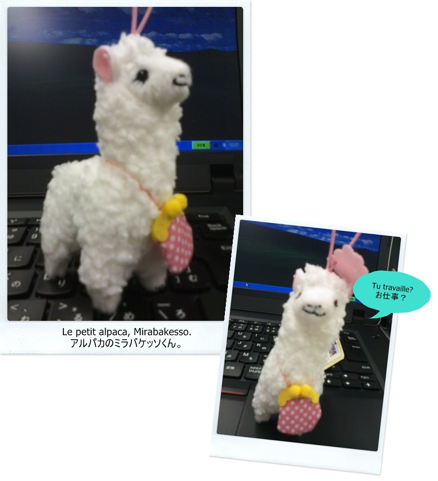 ミラバケッソ君