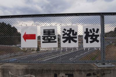 R1106547.jpg