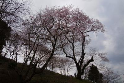 R1106552.jpg