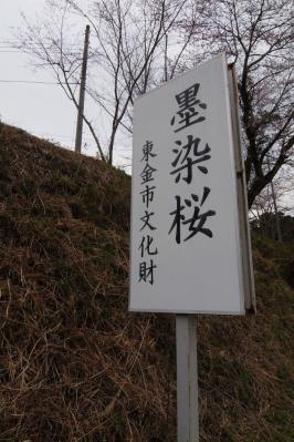R1106554.jpg