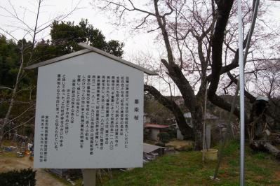 R1106558.jpg