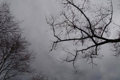 R1106570.jpg