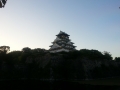 20141007_060751.jpg