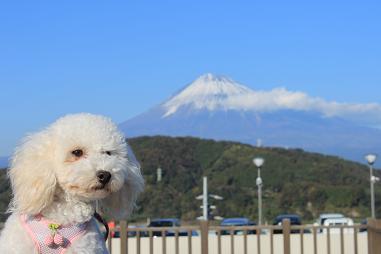 富士山とうち