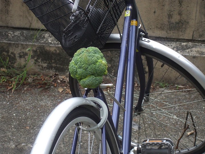 俺様専用速報 東大で自転車のサドルが次々とブロッコリーに変えられる事件が発生