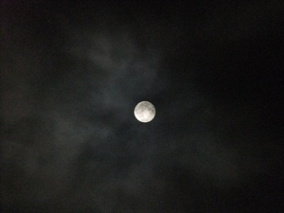 DSCF3078.jpg
