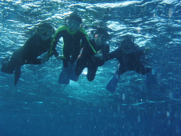 1201021.jpg