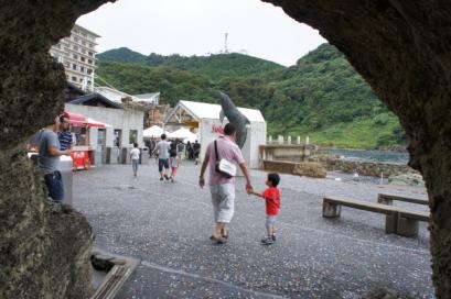 イルカのショーを見に行こう!