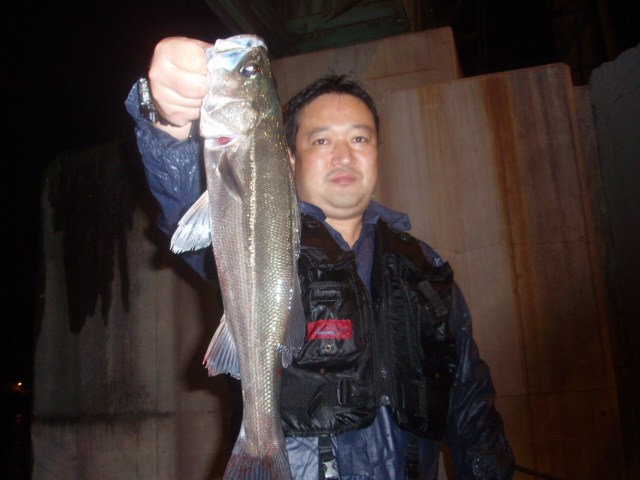 PA150419.jpg