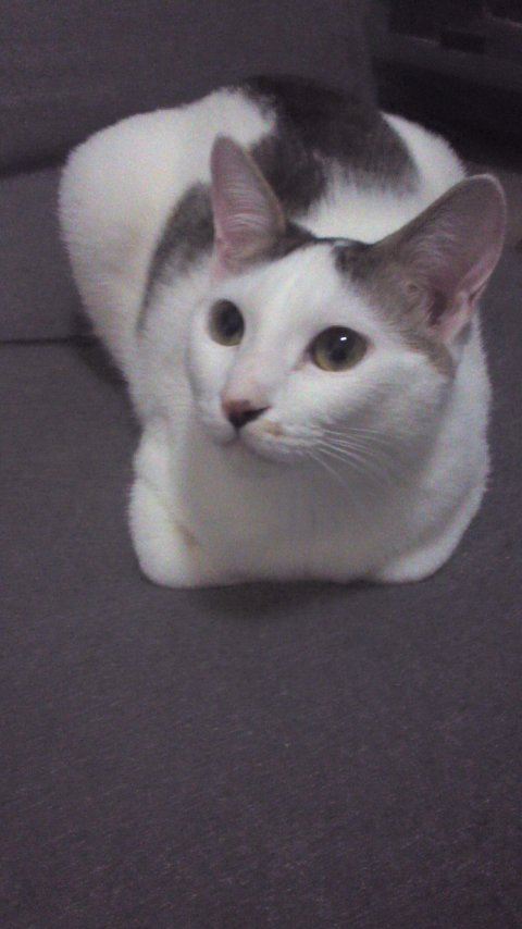 20120402ちーちゃん