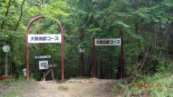 DSC01081.jpg