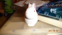 DSC01303.jpg