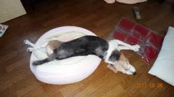 DSC01349.jpg