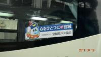 DSC01746.jpg