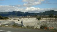 DSC01864.jpg