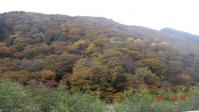 DSC01878.jpg