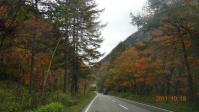 DSC01930.jpg
