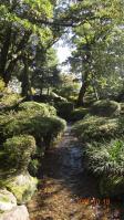 DSC01986.jpg