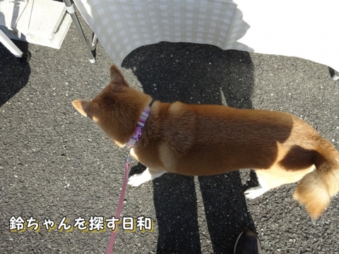 005_20131212021525f81.jpg