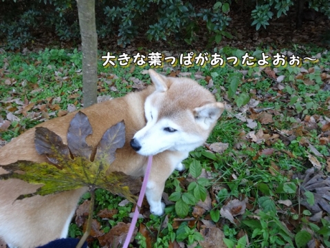 005_2013121601071630d.jpg