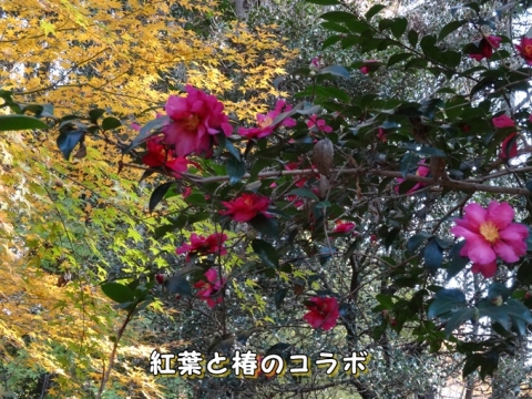 008_20131216010720859.jpg