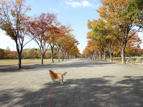 009_20131127003312439.jpg