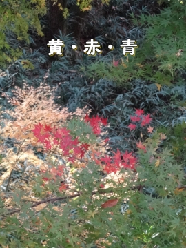 017_20131216010852f8b.jpg