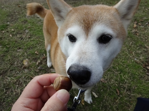 018_20131127003318a00.jpg