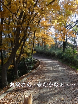 020_2013121601085502d.jpg