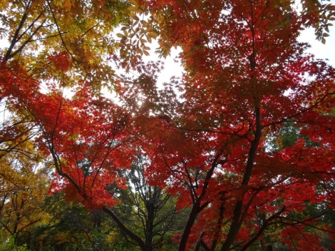 023_201311270033221af.jpg