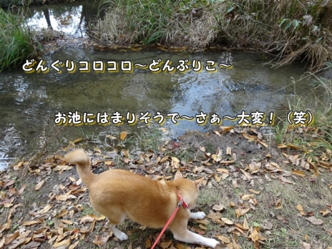 024_20131127003604e5f.jpg