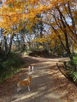 024_201312160120525ee.jpg