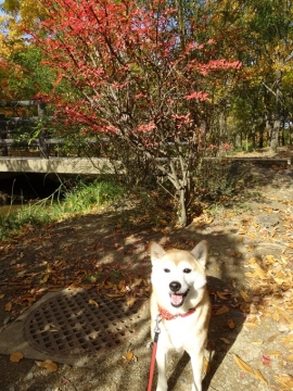 026_201311270036086c9.jpg