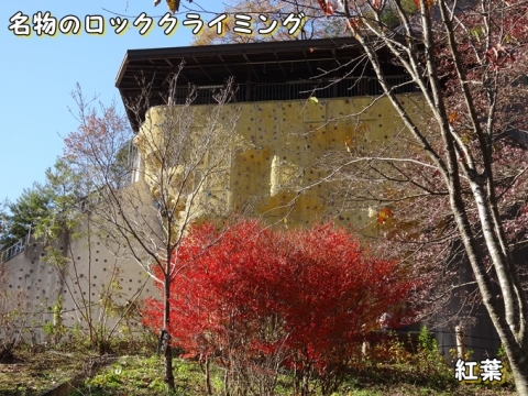 027_2013121201552175b.jpg