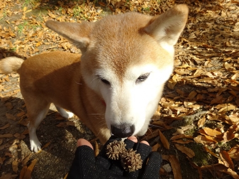 036_20131127003617837.jpg