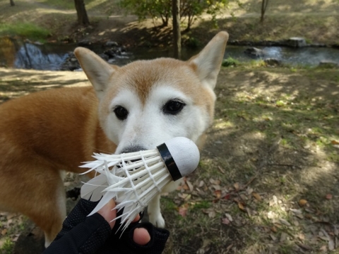040_2013112701175754d.jpg