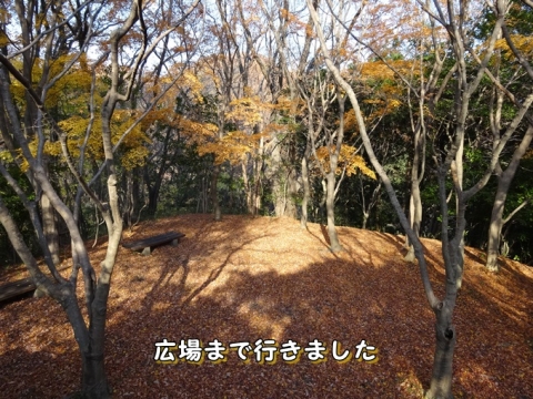 041_201312160137278de.jpg