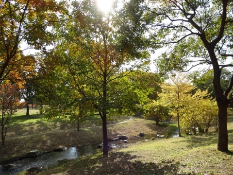 042_201311270043132ac.jpg
